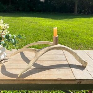 Unique Rustic Deer Antler Candle Holder